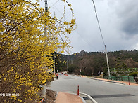용봉산