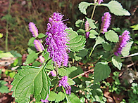 10월 말일 삼인산