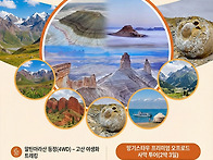 ✨꿈의 여행지..