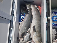 사회적 거리두기