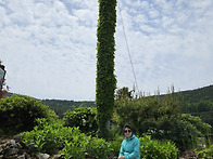 청산도산행2
