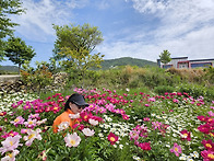 청산도산행3