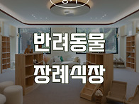 [청주인테리어] 반려동물 ..
