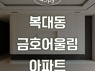 [청주인테리어] 복대동 금..