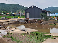 서천군 산림 벌목정책 이대..