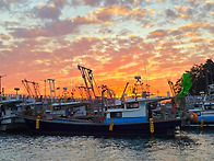 &ldquo;서천의 밤, 새로운 미래..