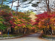 설악산 한계령 필..