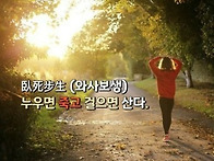11월 정기산행 안내