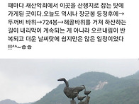 완주 기차산(장군봉) 산행..