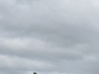 정회원신청합니다