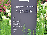 8월13일(수)홍성 남당항