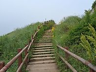 6월4일(목) 영종 예단포