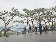 6월1일(월) 용왕산둘레길&..