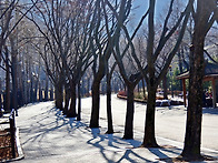 12월12일(금)서울대공원,..