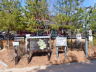 3월14일(토)안동선상길 &..