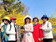 3월28일(토)응봉산개나리꽂..