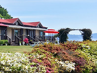 5월18일(월)~19일(화)대..
