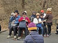 12월10일(수) 안산둘레길