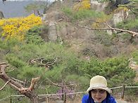 4월1일(수)인왕산,안산 둘..