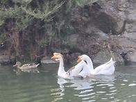 3월12일 역사문화도보 ＜..