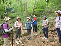 7월7일(월) 관악산 무장애..