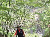 소금 강