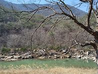 화양계곡 근처 나물캐러가..