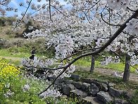 2026년04월05일 8코스 다..