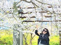 4월5일 8코스 역올레 정모..