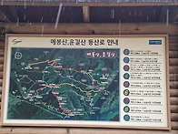 예봉자락의 야생화