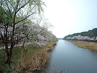 봄비오는 경포호에서