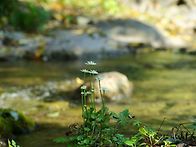수요출사 - 동해