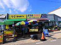 강화 교동 난정 해바라기 ..