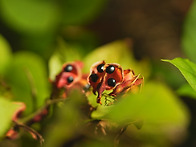11월 첫째주 토요일 이슬 ..