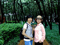 서천 장항 송림숲& 보령 ..