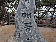 서울대공원 숲길과 청계산