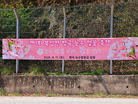 거창 병곡마을 수양벚꽃&..