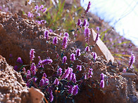 영종도 탐사 ~~~ 10.28