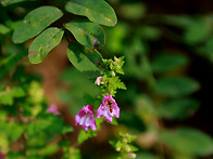 경북 문경출사 ~ 윤필암 ..