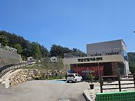 박달고치 숲길