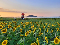 화요출사-0902
