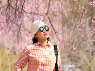 거창 병곡마을 수양벚꼴길..