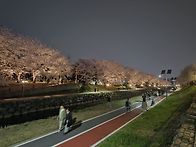 4/3(금)양재천 밤..