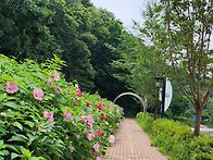 예쁜 산책길