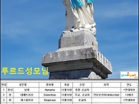 11월 10일 성인 축일 축하..