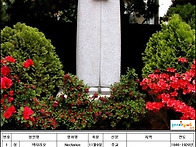 11월 9일 성인 축일 축하..