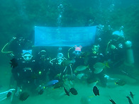 필리핀 수중 구조 훈련(3..