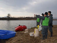 두루미 및 철새 먹이주기 ..