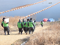 두루미 및 철새 먹이주기 ..