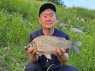 2026.9.10.조황입니다